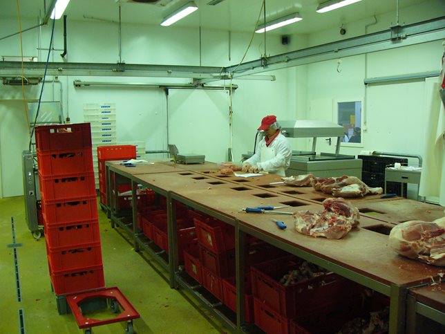 P1020235.JPG